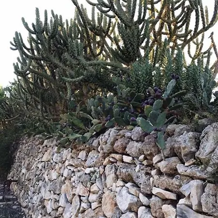 B&B Tenuta Paradisi