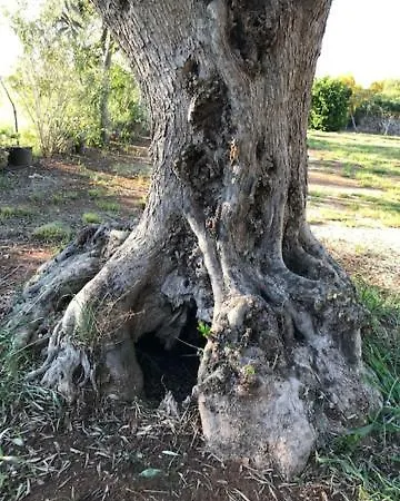 B&B Tenuta Paradisi