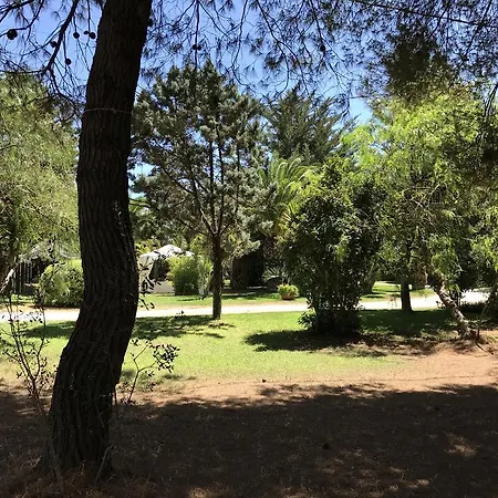 Tenuta Paradisi Bed & Breakfast *