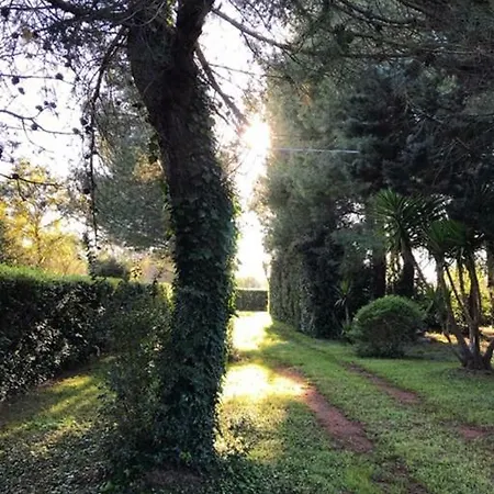 Couette-café Tenuta Paradisi *