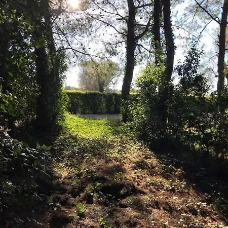 Tenuta Paradisi * Copertino