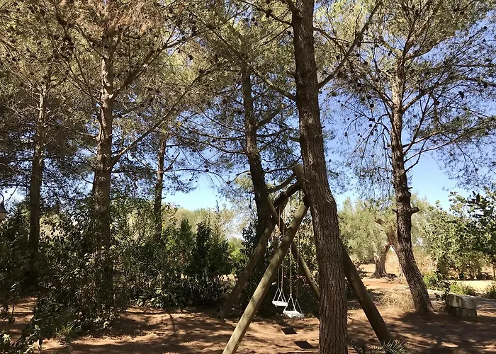 לינה וארוחת בוקר Tenuta Paradisi קופרטינו