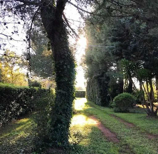 לינה וארוחת בוקר Tenuta Paradisi *