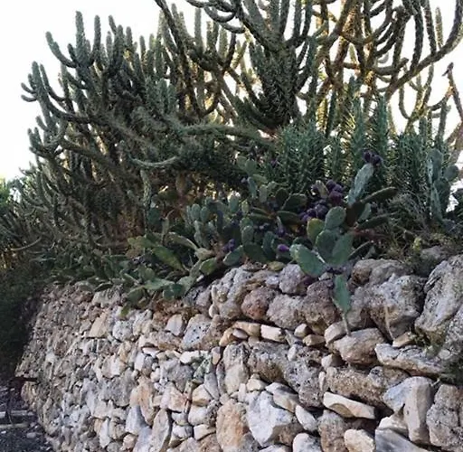לינה וארוחת בוקר Tenuta Paradisi